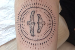 IMG_20240409_174055-scaled-e1728397187819