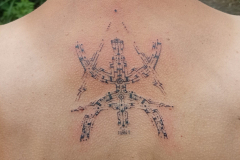 IMG_20240822_164956-scaled-e1728397360568