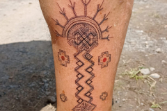 IMG_20240831_105244-scaled