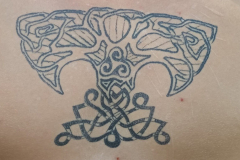 IMG_20240908_122344-scaled-e1728397542758