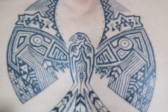 IMG-20250226-WA0007-e1743504318790