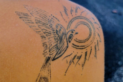 IMG_20240311_132625_849