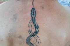 IMG_20240815_191648-scaled