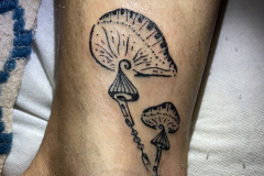 IMG_20240821_135408_835