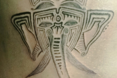 IMG_20240831_104803-scaled