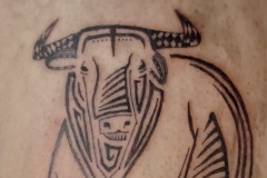 IMG_20240831_105734-scaled