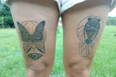 IMG_20241219_115031-scaled